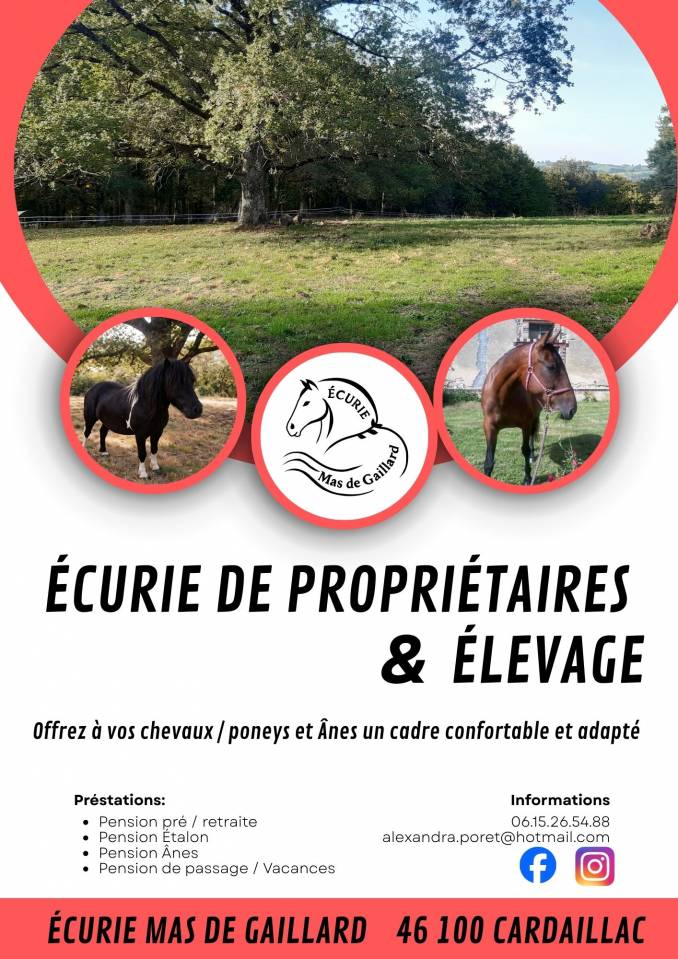  Pension pour cheval, Poney et &Acirc;ne 