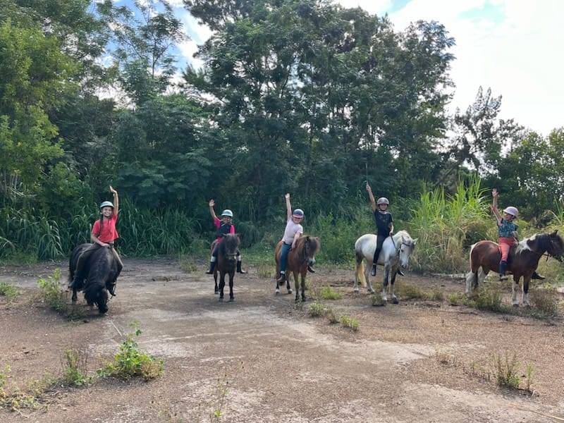 moniteur ou monitrice d'&eacute;quitation dipl&ocirc;m&eacute;(e)