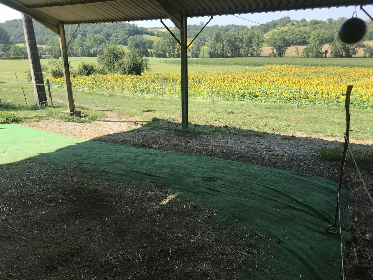 Pension chevaux loisir/retraite