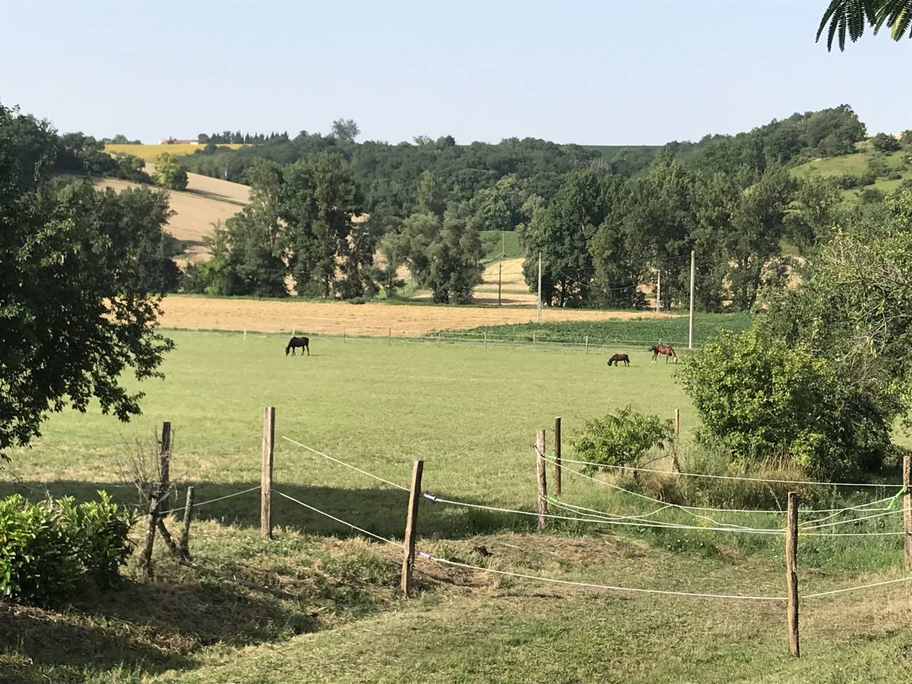 Pension chevaux loisir/retraite