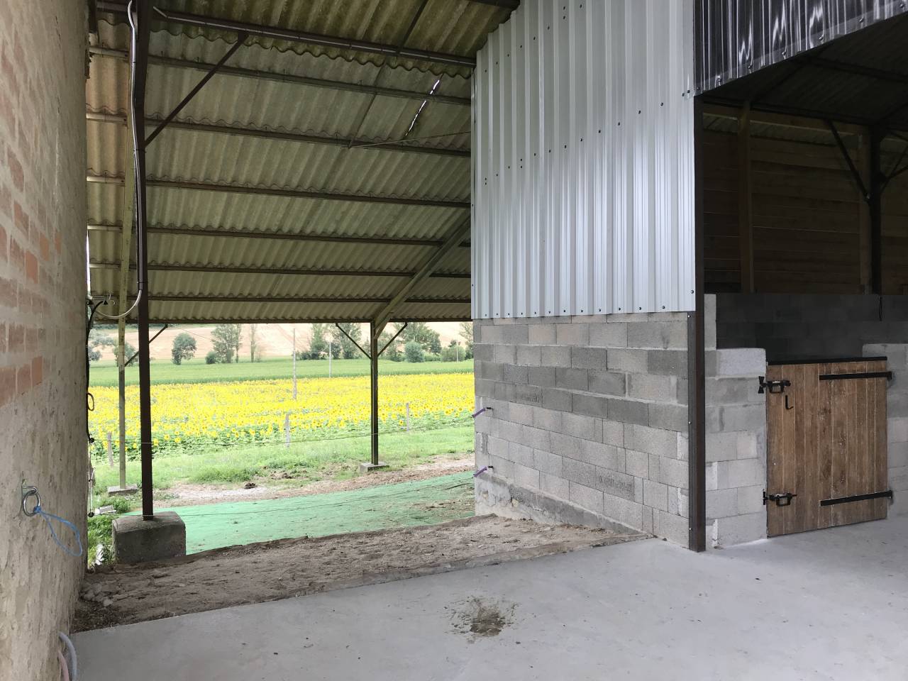 Pension chevaux loisir/retraite