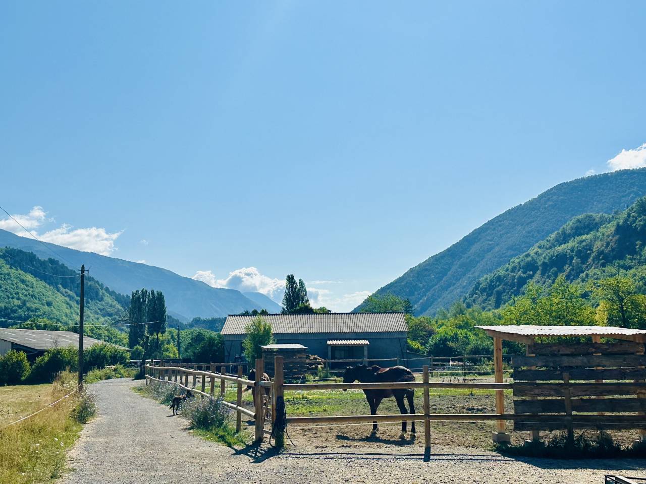 Propri&eacute;t&eacute; &eacute;questre 7 ha plats &ndash; Villa + appartement &ndash; 1