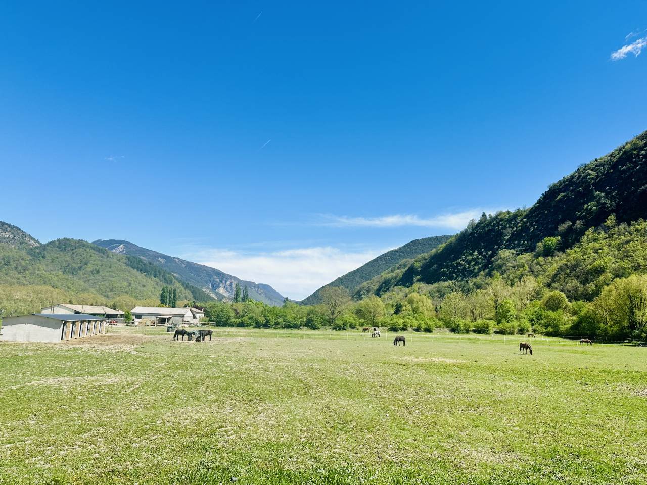 Propri&eacute;t&eacute; &eacute;questre 7 ha plats &ndash; Villa + appartement &ndash; 1