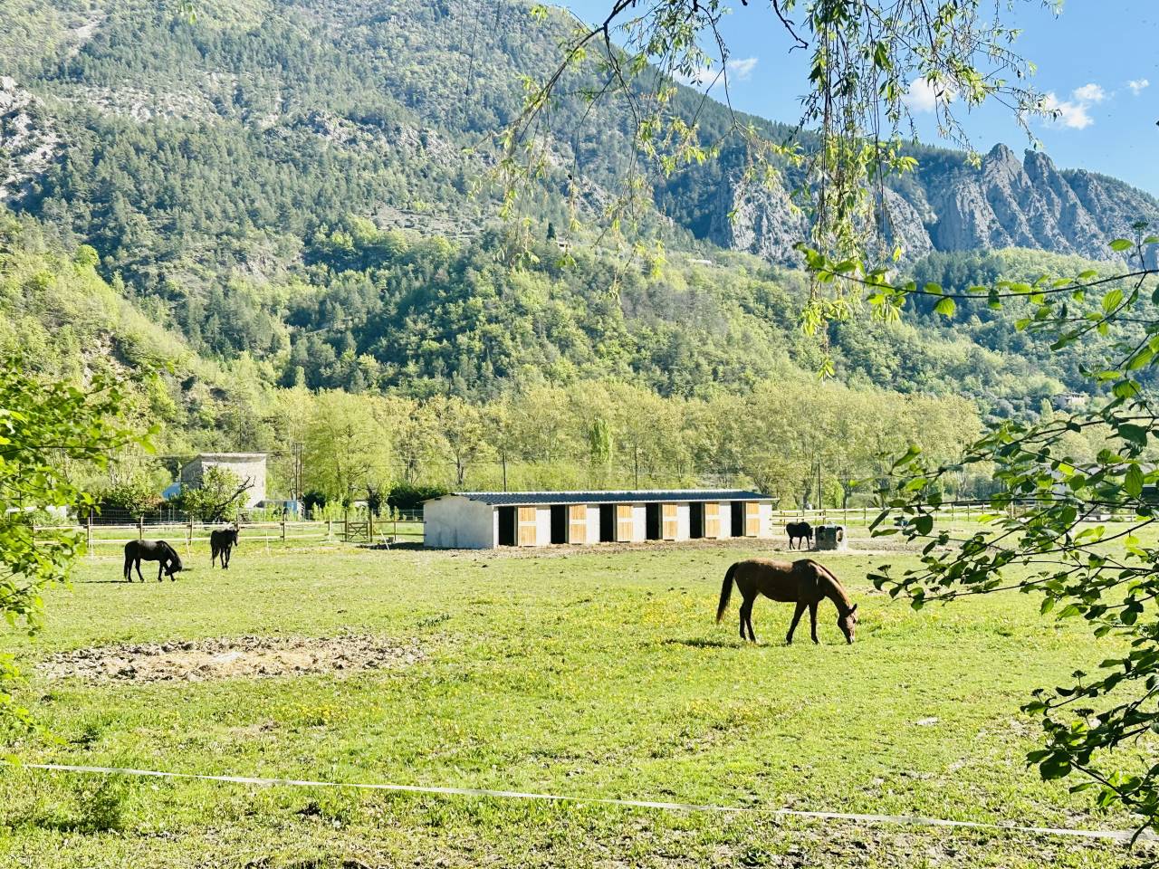 Propri&eacute;t&eacute; &eacute;questre 7 ha plats &ndash; Villa + appartement &ndash; 1