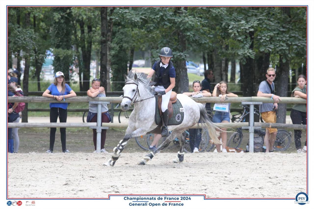 Tr&egrave;s jolie ponette C &ndash; 12 ans&ndash; polyvalente