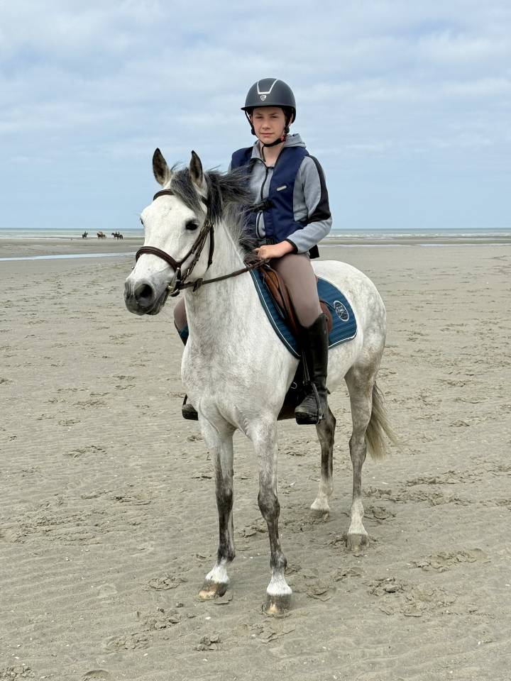 Tr&egrave;s jolie ponette C &ndash; 12 ans&ndash; polyvalente