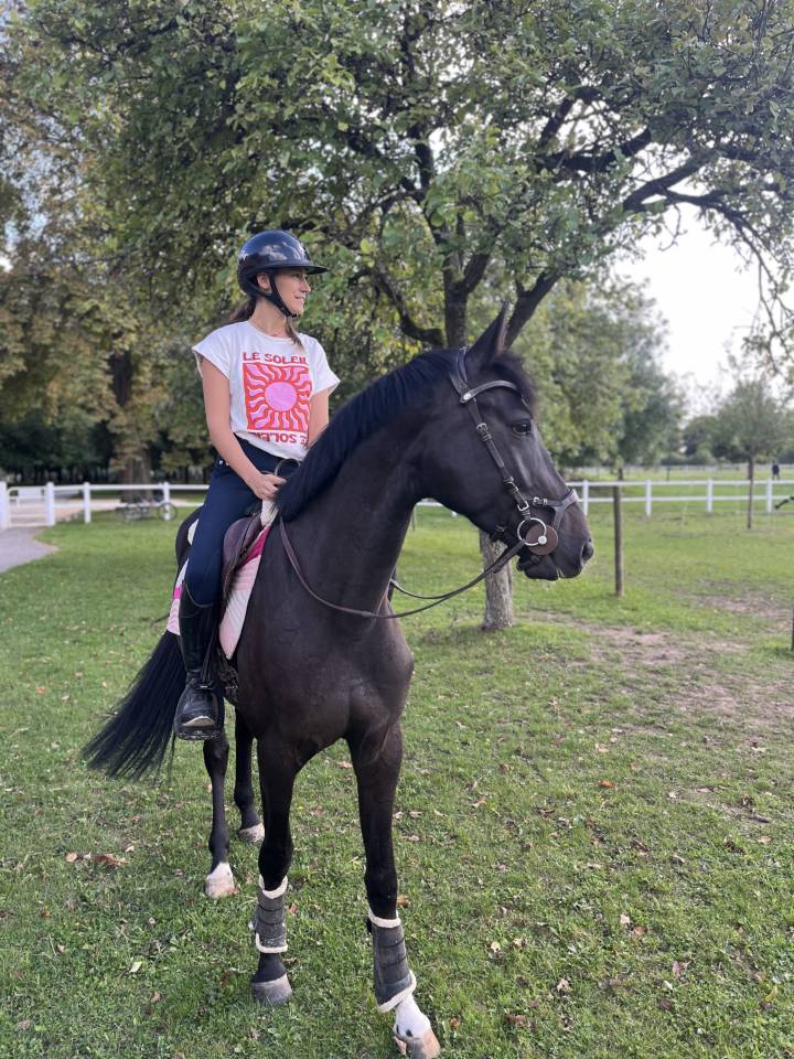 Selle fran&ccedil;ais de 5 ans &agrave; vendre (CSO CCE dressage) 