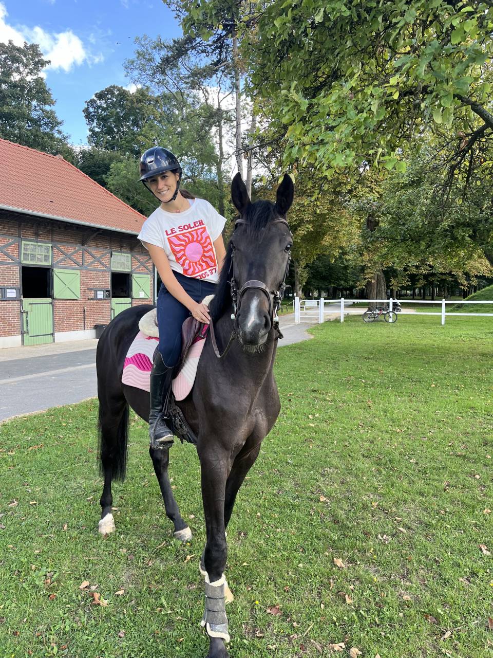 Selle fran&ccedil;ais de 5 ans &agrave; vendre (CSO CCE dressage) 