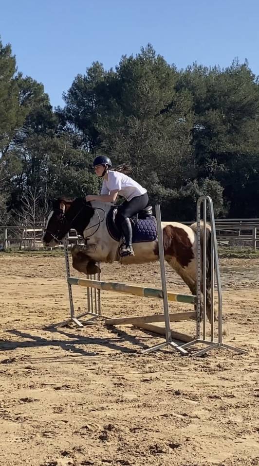 Deux poneys &agrave; vendre 