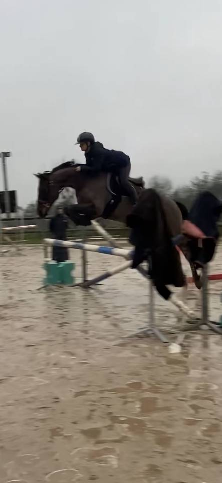 Jument &agrave; vendre 