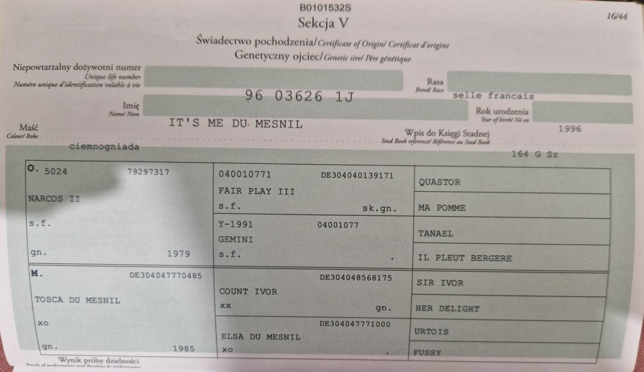 Jument pour poulini&egrave;re