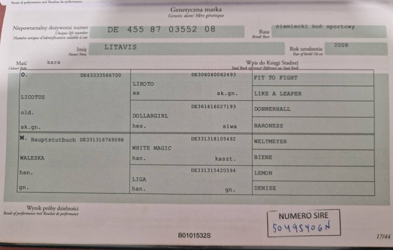 Jument pour poulini&egrave;re