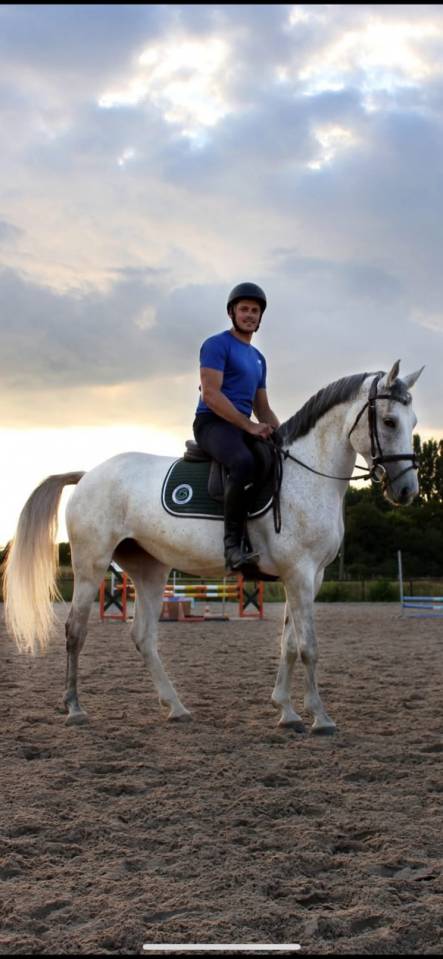  Jument Selle Fran&ccedil;ais &ndash; 7 ans &ndash; 163 cm &ndash; Exp&eacute;rience co