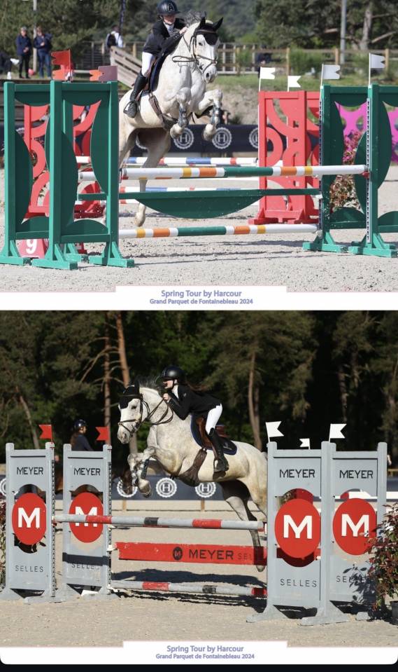  Jument Selle Fran&ccedil;ais &ndash; 7 ans &ndash; 163 cm &ndash; Exp&eacute;rience co