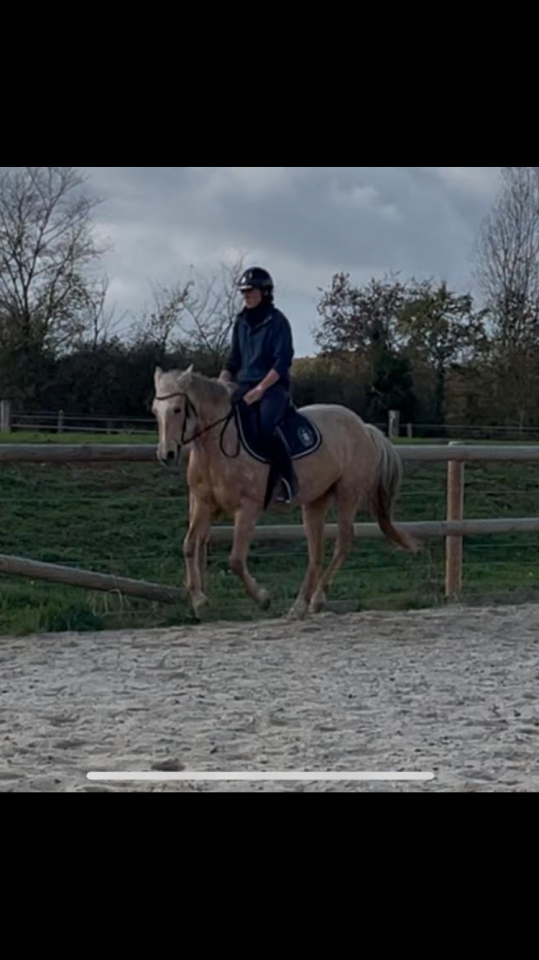 Top jument sport ou loisirs