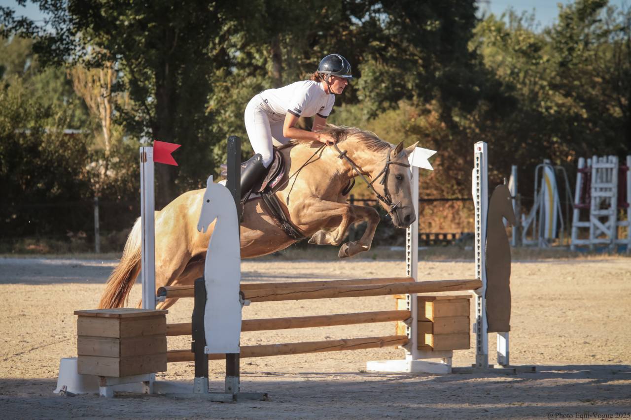 Top jument sport ou loisirs