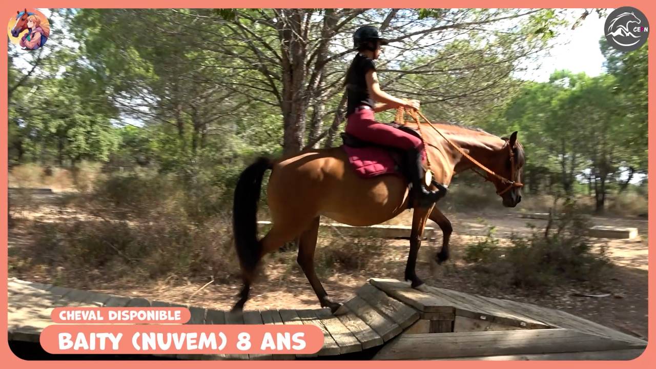 **&Agrave; VENDRE &ndash; Nuvem Jument 9 ans** 