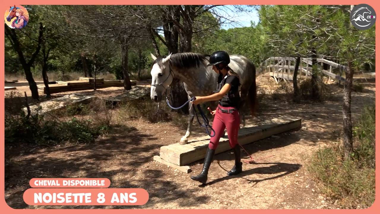  **&Agrave; VENDRE &ndash; Noisette Jument 9 ans** 