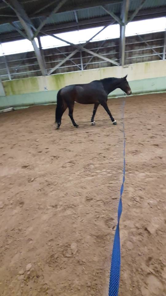 Recherche apprentissage TP RPMS