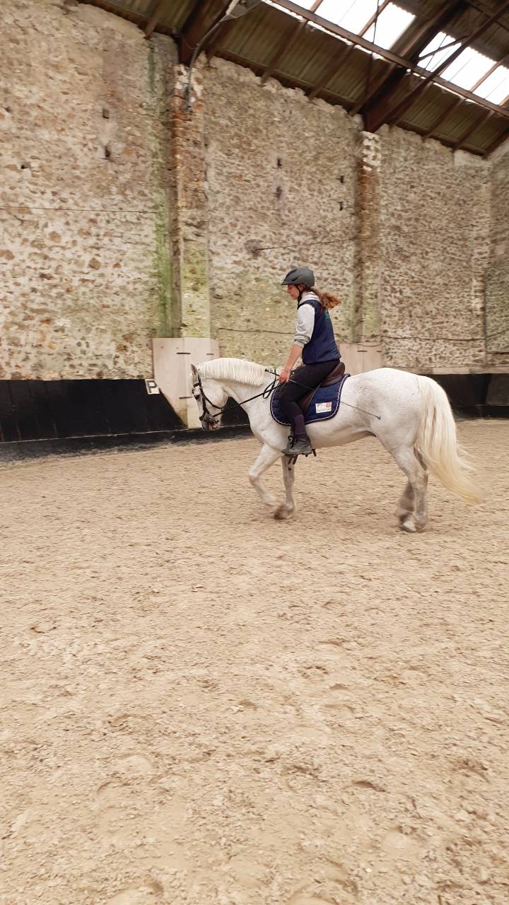 Recherche apprentissage TP RPMS