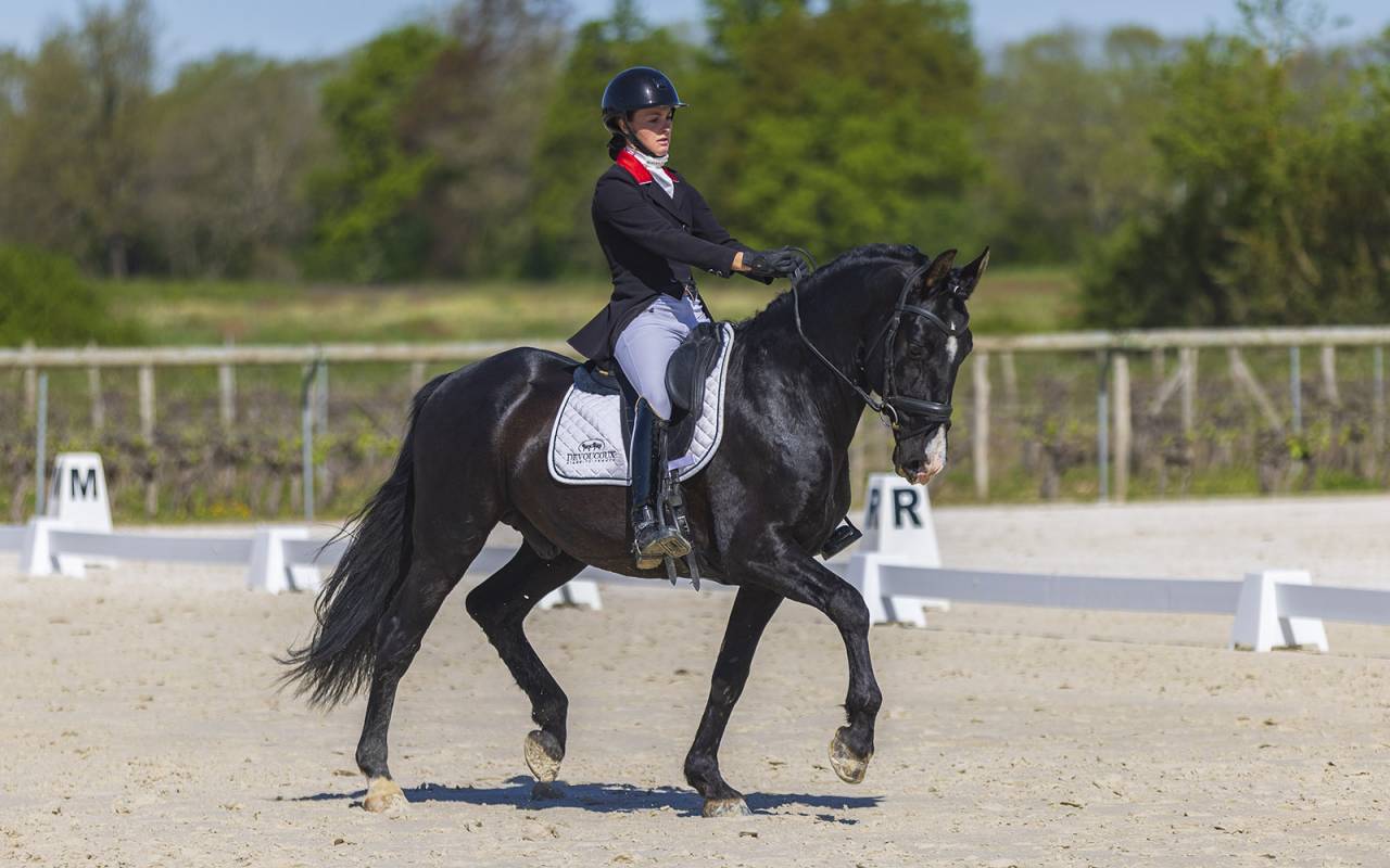 Superbe pouliche ib&eacute;rique baroque bai silver