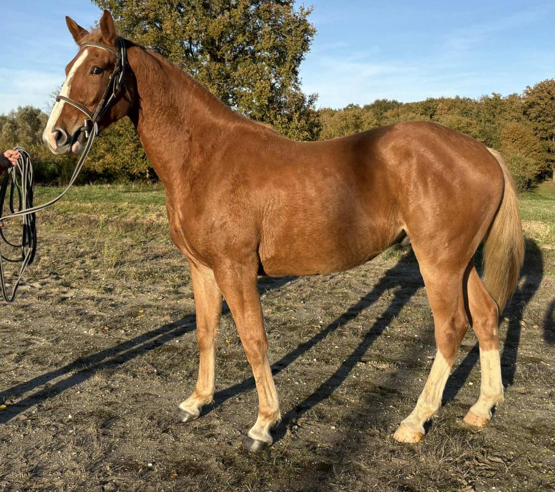 3 ans par Itoki de Riverland & Calvaro