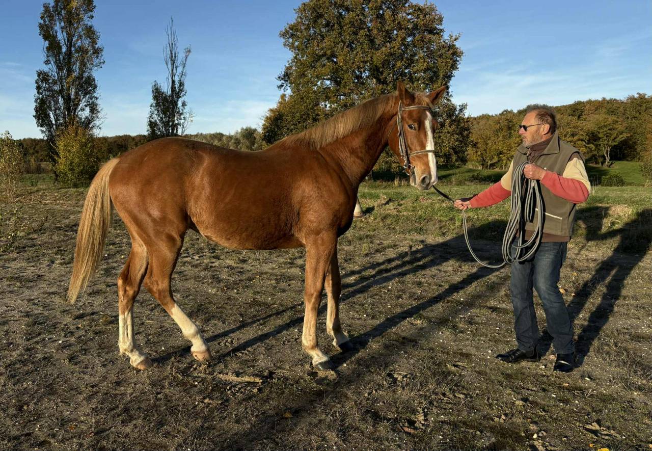 3 ans par Itoki de Riverland & Calvaro