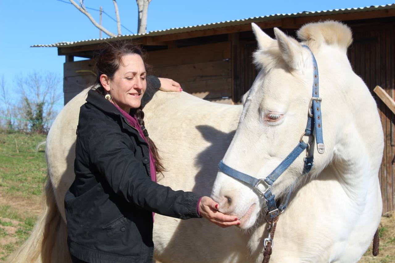 Shiatsu &eacute;quin