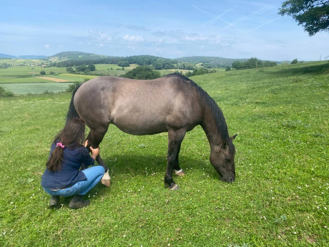 Shiatsu &eacute;quin