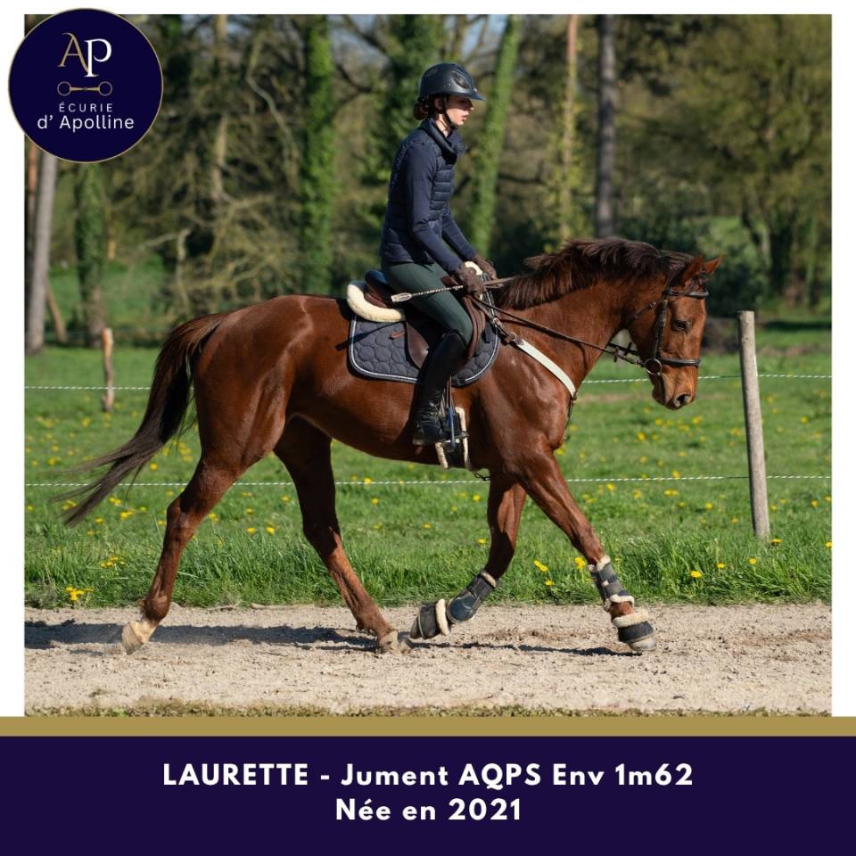 tr&egrave;s belle AQPS 5 ans