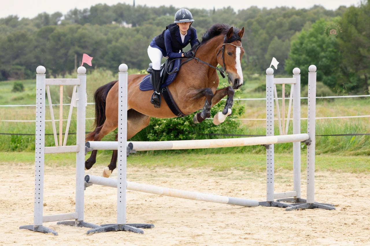 Jument SF x TORNESCH x LUX Z 