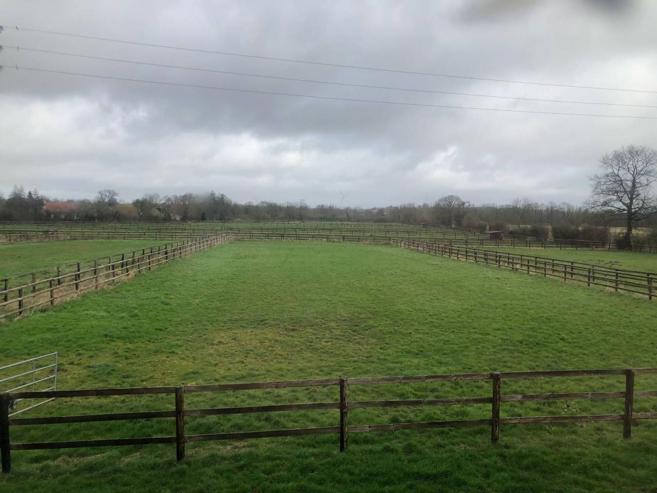 Haras dans l&rsquo;Orne 