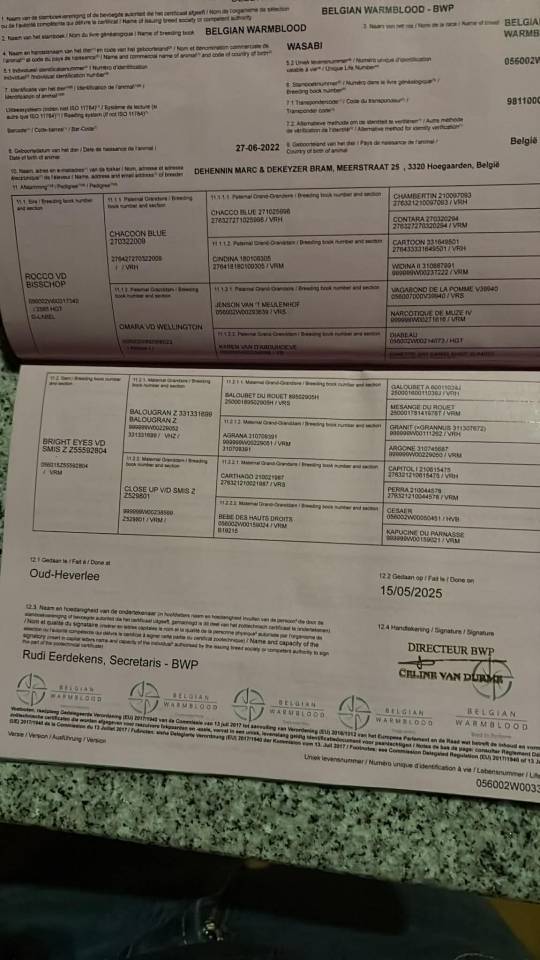 &Eacute;talon PP pour saillies <3000&euro; 