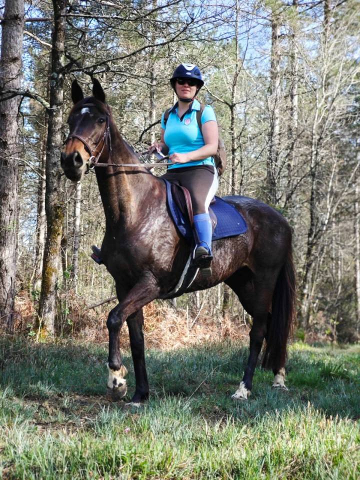 Jument SF 1m66 - RIVERLAND 