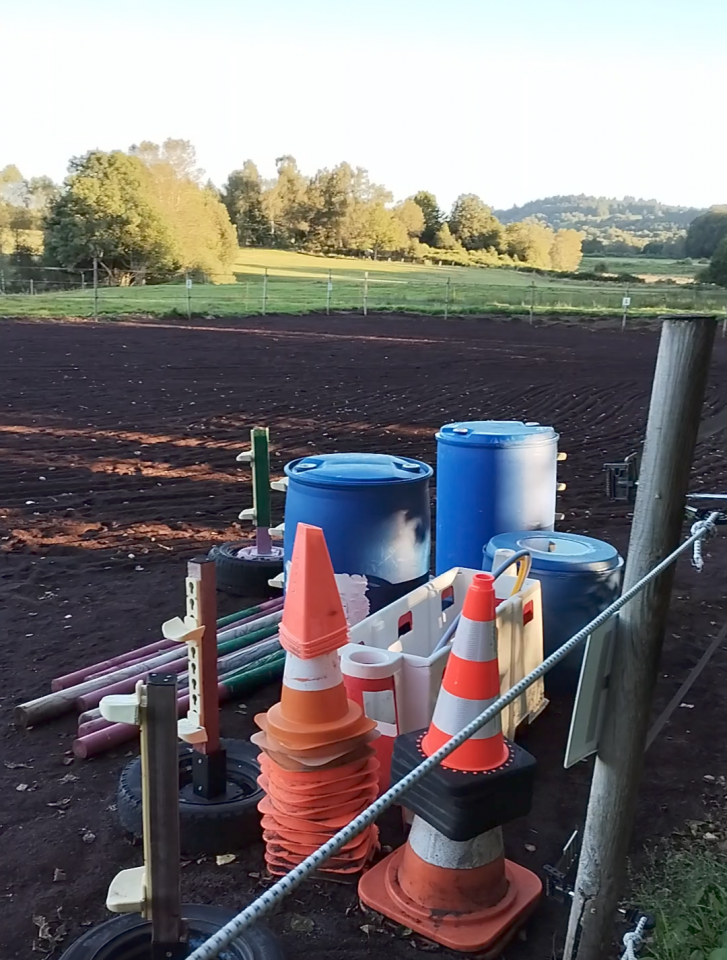 Pension cheval Les prairies de la Narse