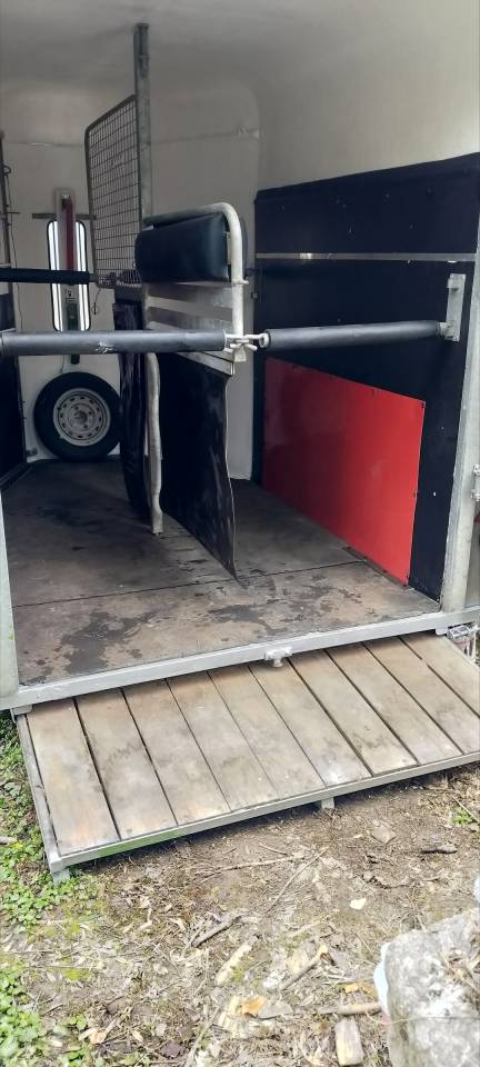 Van 2 places chevaux - Fautras 