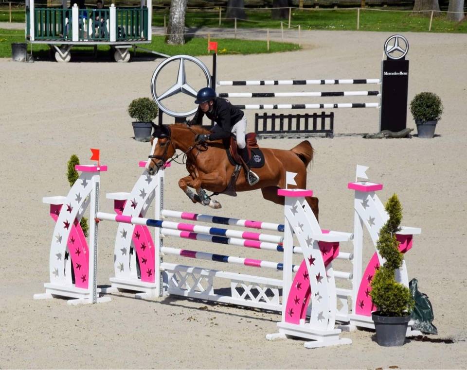 Jument SF 9 ans CSO 135cm