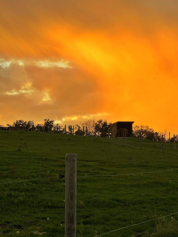 PENSION PRE RH&Ocirc;NE 