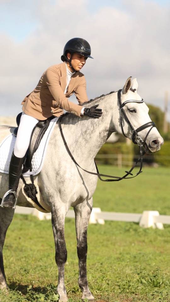 &Agrave; vendre jument de 7 ans 