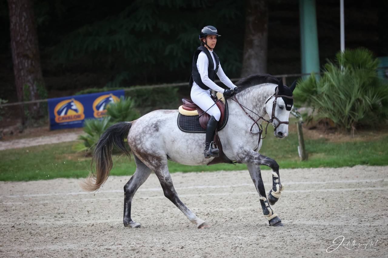 &Agrave; vendre jument de 7 ans 