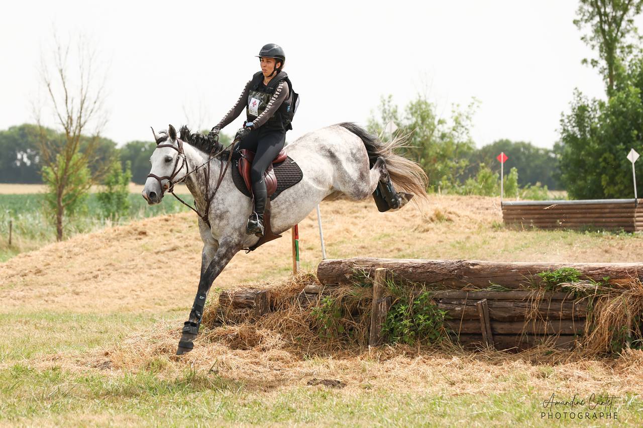 &Agrave; vendre jument de 7 ans 