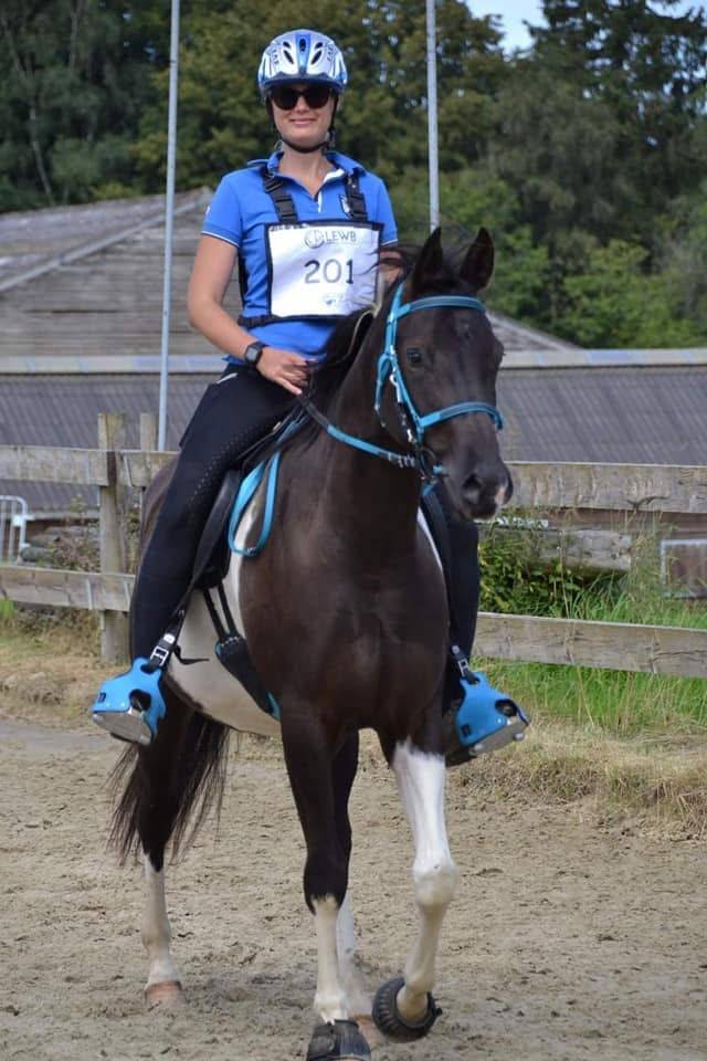 E.S HICERO   HONGRE DSA