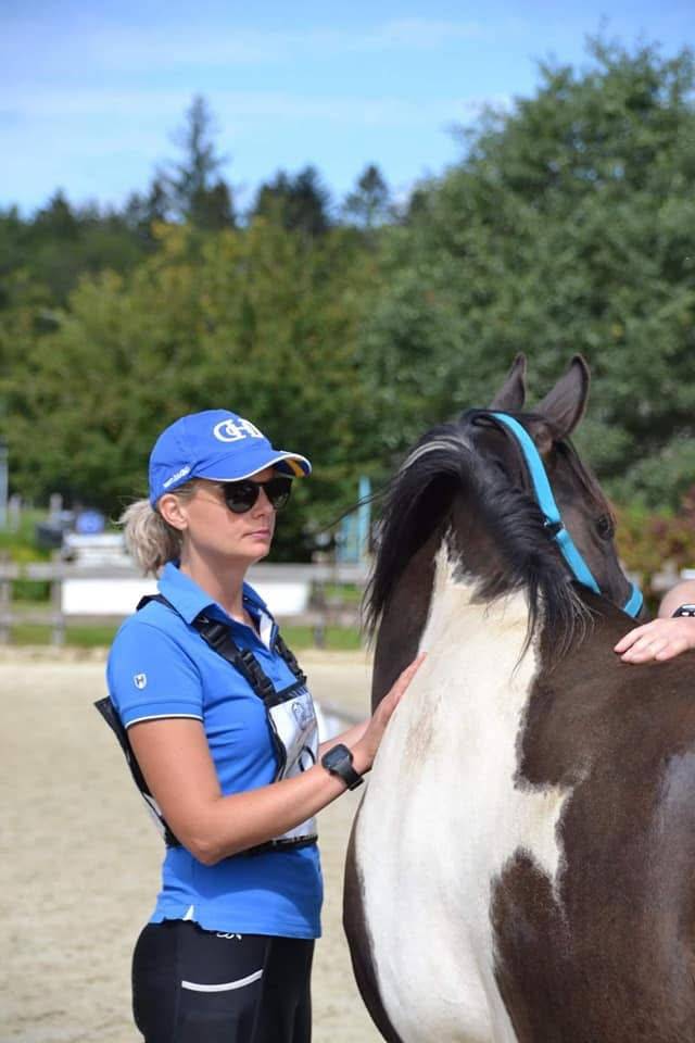 E.S HICERO   HONGRE DSA