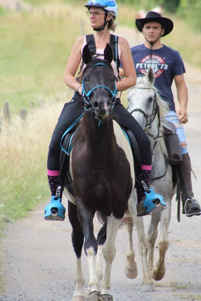 E.S HICERO   HONGRE DSA