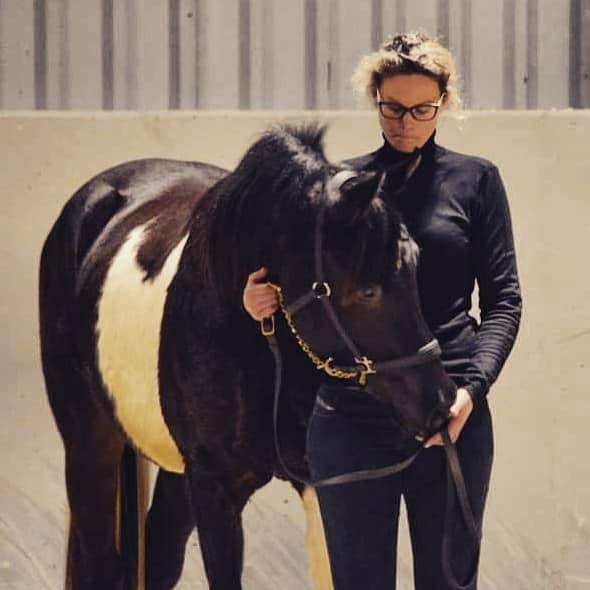 E.S HICERO   HONGRE DSA