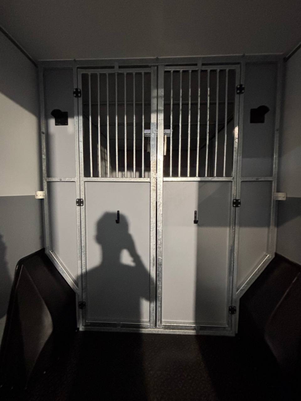 Camion chevaux TOP affaire