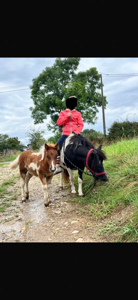 Petite ponette tr&egrave;s attachante 