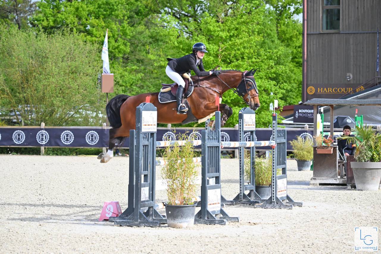 Jument de sport 8 ans CSO