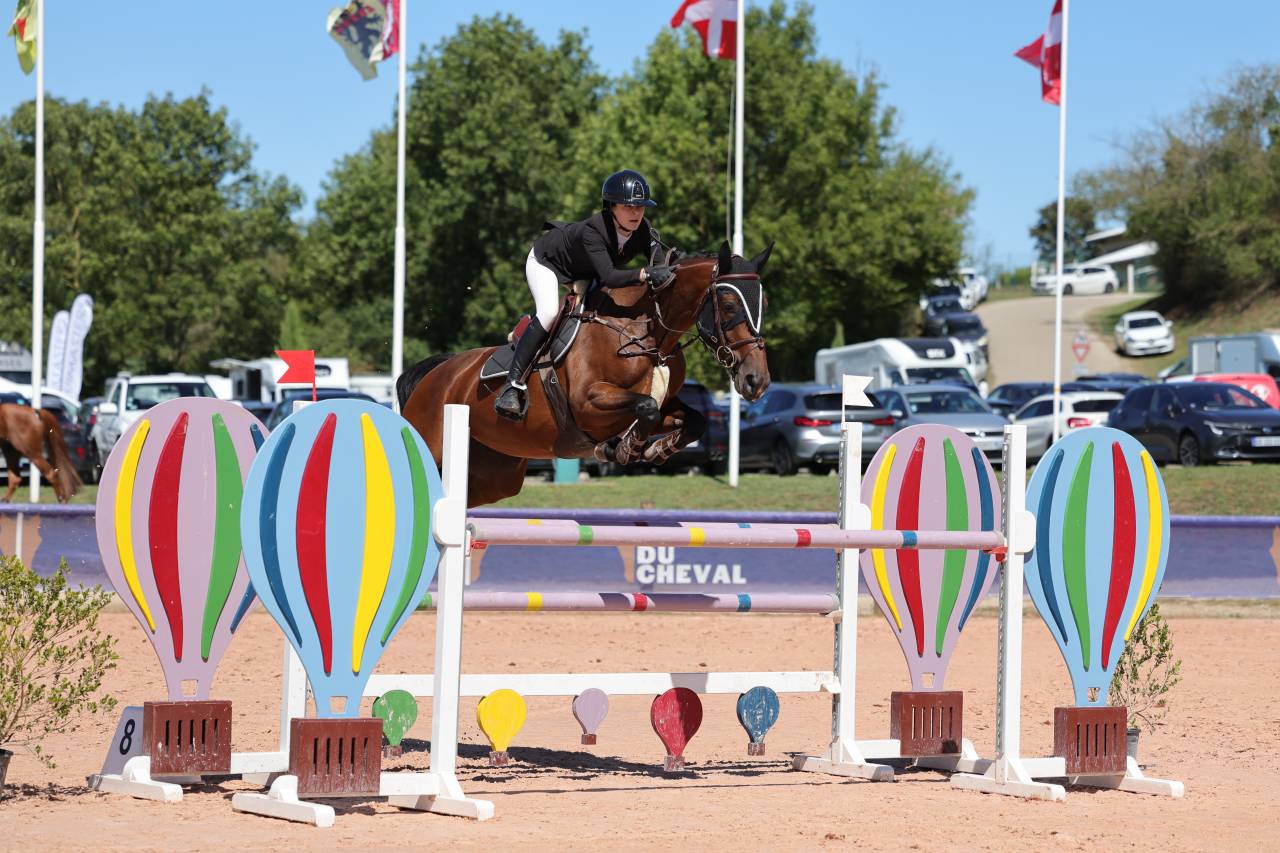 Jument de sport 8 ans CSO