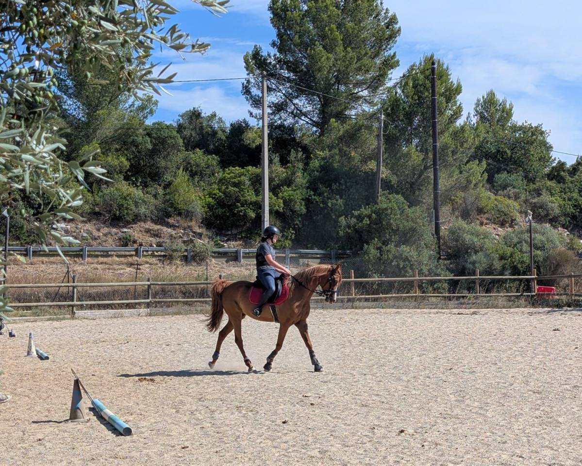 &Agrave; vendre : D.M. Magellan 